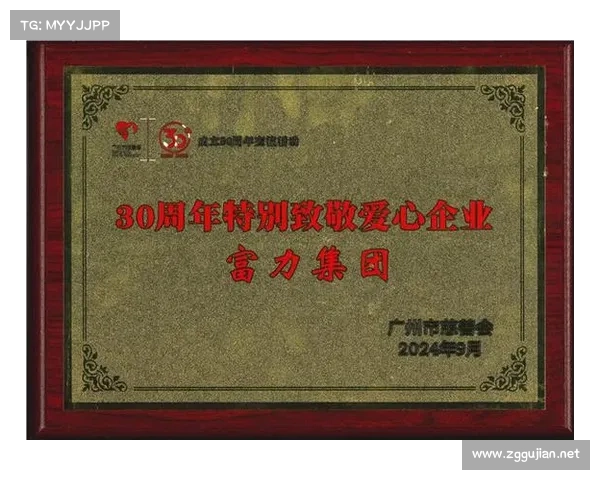 广州市慈善会特别致敬企业背后的社会责任与影响力深度解析